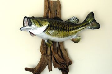 Large Mouth Bass